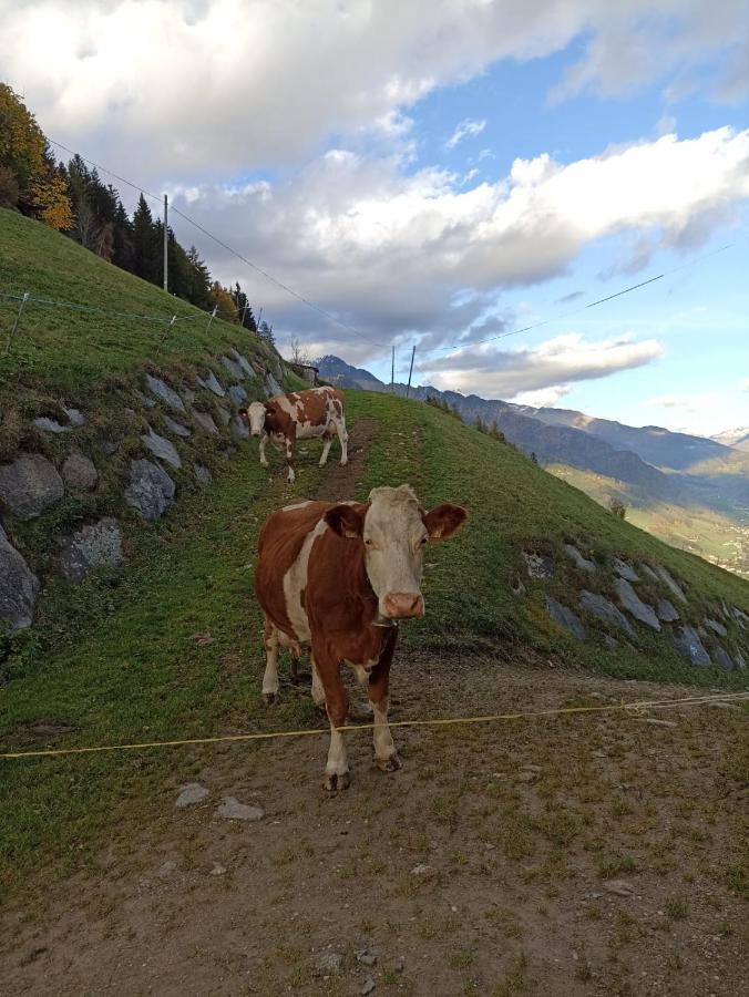 Ortnerhof Apartment Ahrntal Bagian luar foto