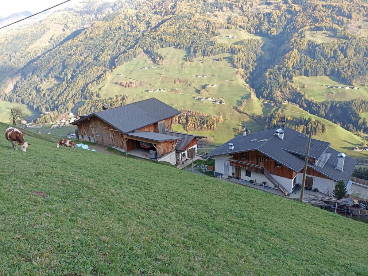 Ortnerhof Apartment Ahrntal Bagian luar foto