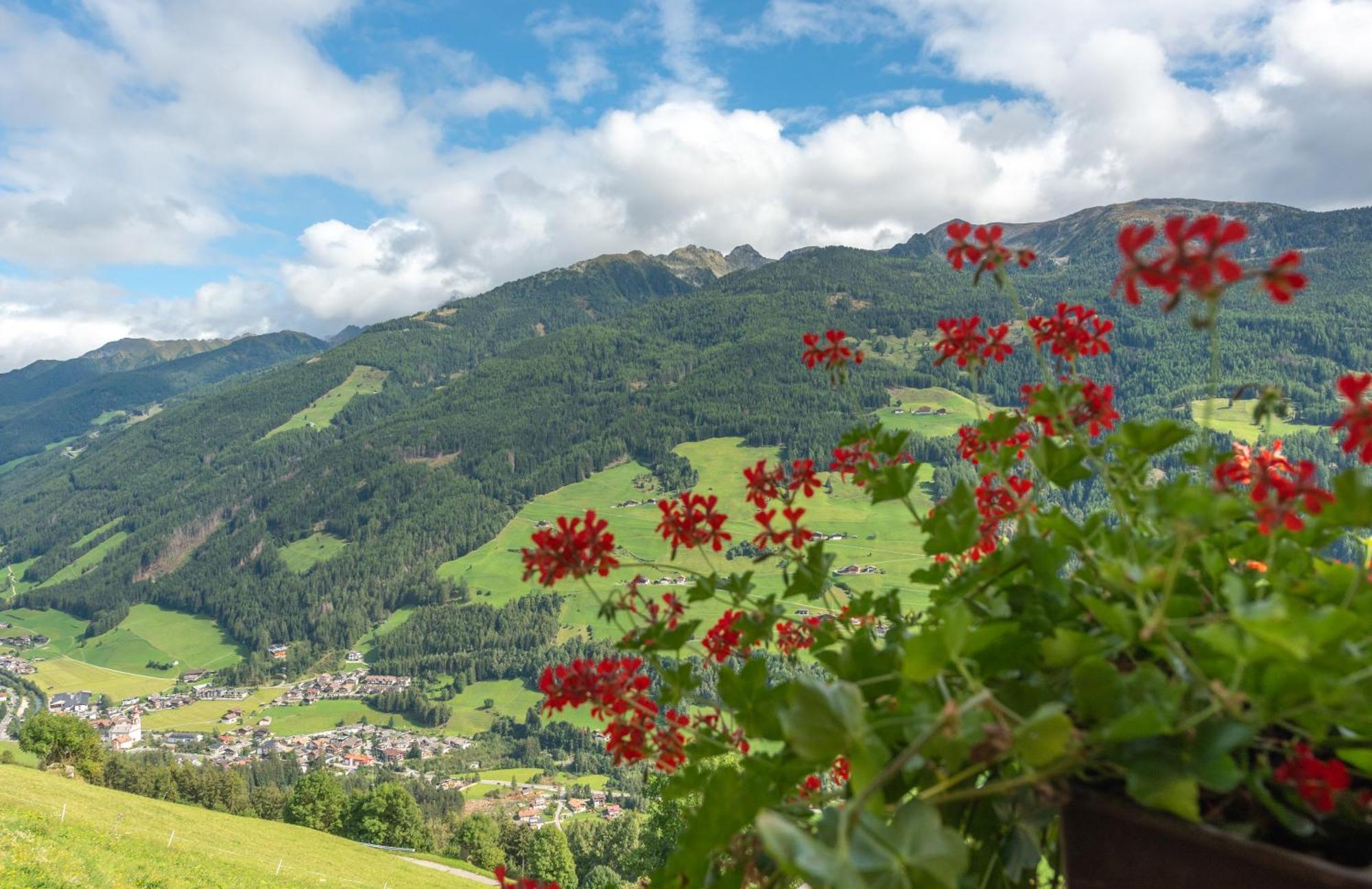 Ortnerhof Apartment Ahrntal Bagian luar foto